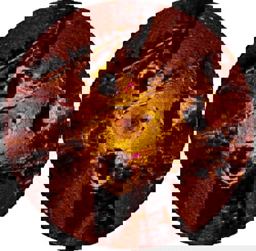 Sonar Image 4